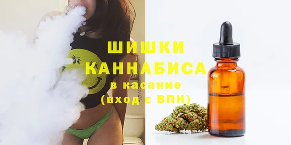дмт Зеленодольск