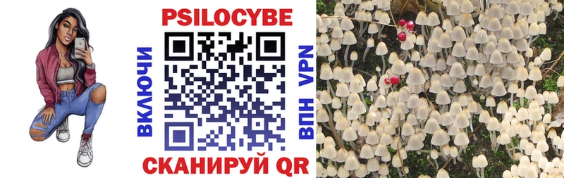Псилоцибиновые грибы MAGIC MUSHROOMS  Купить где  Каменка 